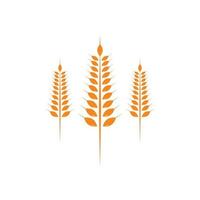 agricoltura Grano logo modello vettore icona