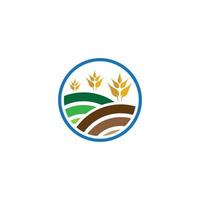 immagini del logo di grano agricoltura vettore