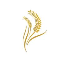 immagini del logo di grano vettore