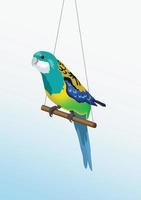 vettore realistico colorato pappagallo è seduta su il bastone. animali domestici, uccello isolato