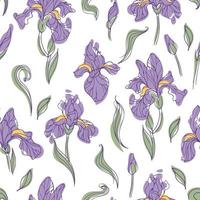 senza soluzione di continuità modello di moderno luminosa iris fiori su un' bianca sfondo. botanico vettore illustrazione nel mano disegnato stile per asilo, sfondo, stampa su tessuto, avvolgere,