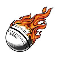 caldo cricket palla fuoco logo silhouette. cricket club grafico design loghi o icone. vettore illustrazione.