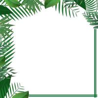 verde tropicale le foglie piazza telaio su bianca sfondo. vettore invito carte con erbaceo ramoscelli rami e angoli confine cornici. estate festa bandiera vettore illustrazione. tropicale telaio concetto.