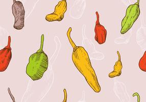 modello senza cuciture di habanero disegnato a mano vettore