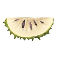 graviola soursop icona cartone animato vettore. succo frutta vettore