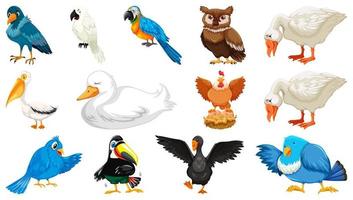 set di diversi uccelli in stile cartone animato isolato su sfondo bianco vettore