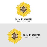 girasole logo disegno, ornamentale pianta giardino pianta icona vettore, azienda Prodotto marca vettore