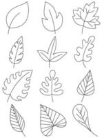 le foglie mano disegnato icona vettore impostato isolato su bianca sfondo, mano disegnato decorativo elementi, semplice cartone animato mano disegnato stile