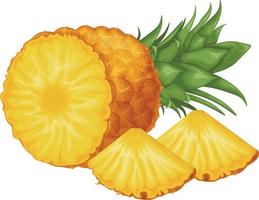 ananas. Immagine di ananas tagliare in pezzi. pezzi di maturo ananas. dolce tropicale frutta. vettore illustrazione