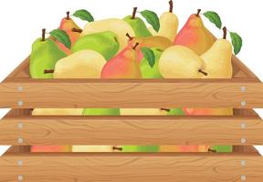 pere. di legno scatola con pere. maturo Pera frutta nel un' scatola. fresco giardino frutta. succoso pere nel un' di legno scatola. vettore illustrazione isolato su un' bianca sfondo