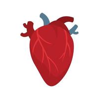 cardiologia umano cuore icona piatto isolato vettore