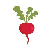 rosso biologico ravanello icona piatto isolato vettore
