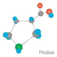 prolina 3d molecola chimico scienza vettore