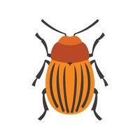 Colorado scarafaggio icona, piatto stile vettore