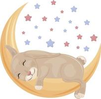 luminosa carino bambini S illustrazione con il Immagine di un' carino coniglietto addormentato su il Luna circondato di colorato stelle. bambini S Stampa illustrazione. un' lepre su un' mezzaluna luna.vettore. vettore