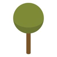 verde pianta albero icona, isometrico stile vettore