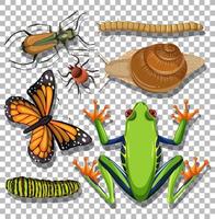 set di diversi insetti su sfondo trasparente vettore