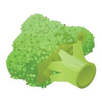 fresco broccoli icona, isometrico stile vettore