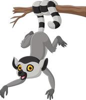 cartone animato carino lemure sospeso su albero ramo vettore