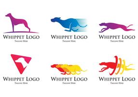 Logo del cane Whippet vettore