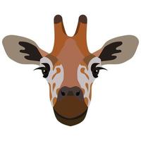 carino giraffa testa isolato su bianca sfondo. africano selvaggio animale. illustrazione con poco giraffa nel cartone animato stile può essere Usato per figli di capi di abbigliamento o cose disegno, animale negozio, vacanza carta. vettore