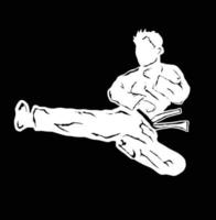 illustrazione logo vettore taekwondo calcio