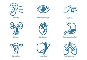 Urologia e icona dell'organo interno vettore