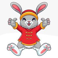 cartone animato coniglio indossare Cinese nuovo anno Abiti vettore