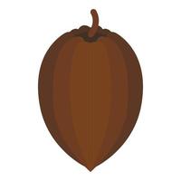 cacao frutta icona, isometrico stile vettore