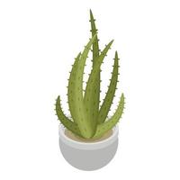 cactus pentola icona, isometrico stile vettore