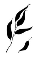 eucalipto ramo con le foglie nero silhouette. vettore illustrazione design elemento..
