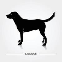 labrador cane silhouette vettore illustrazione.