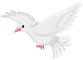 baird bianco flyting su sfondo bianco vettore