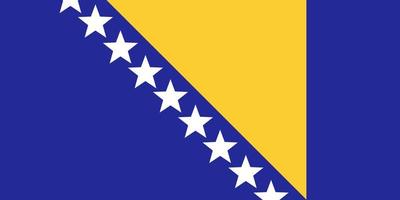 bosnia e erzegovina bandiera. ufficiale colori e proporzioni.