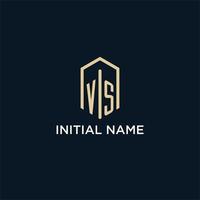 vs iniziale monogramma logo con esagonale forma stile, vero tenuta logo design idee ispirazione vettore