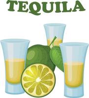 Tequila. il Immagine di Tequila nel occhiali. bicchieri con Tequila e affettato lime. alcolizzato bevanda, vettore illustrazione isolato su un' bianca sfondo