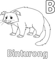 Binturong animale alfabeto abc isolato colorazione B vettore