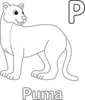 puma animale alfabeto abc isolato colorazione pagina p vettore