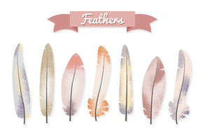 Hipster Feathers Vector gratuito