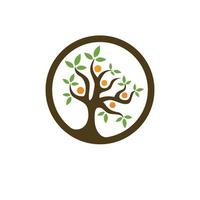 vettore del modello del logo dell'albero genealogico