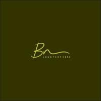 bn logo, mano disegnato bn lettera logo, bn firma logo, bn creativo logo, bn monogramma logo vettore