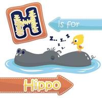 vettore illustrazione di poco anatra in piedi su ippopotamo di indietro nel acqua, educativo grafico per bambini