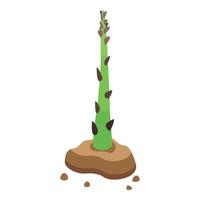asparago pianta icona, isometrico stile vettore