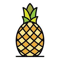 totale ananas icona colore schema vettore