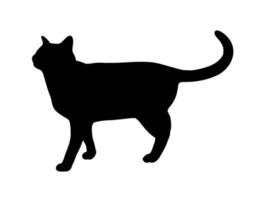 nero gatto in piedi su astratto silhouette. icona, logo vettore illustrazione.