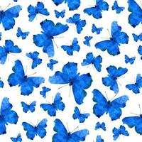 senza soluzione di continuità modello con blu acquerello farfalle vettore