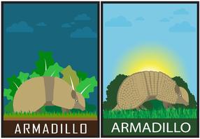 Armadillo Vector Scene