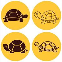 collezione di tartaruga vettore