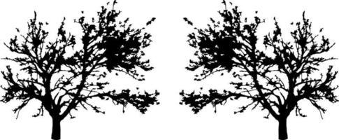 nero alberi impostato isolato su bianca sfondo. albero sagome. design di alberi per manifesti, banner e promozionale Oggetti. vettore illustrazione