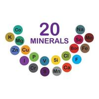 minerali microelementi e macro elementi, utile per umano Salute. fondamenti di salutare mangiare e salutare stili di vita. vettore